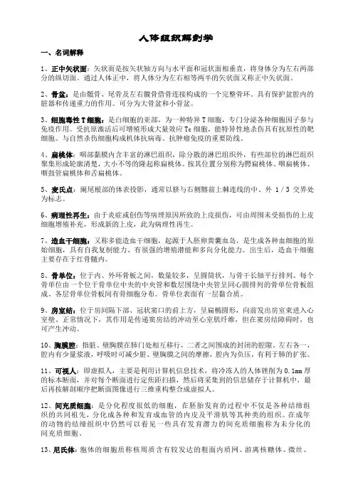 人体组织学解剖学 2