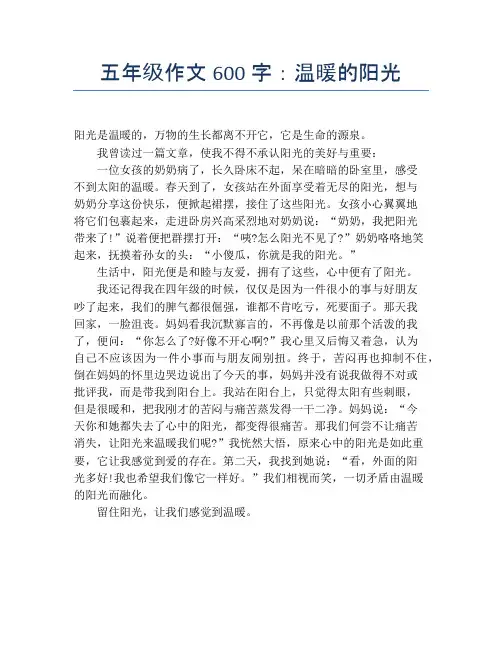 五年级作文600字：温暖的阳光