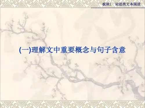 高考语文二轮复习板块1专题(一)理解文中重要概念与句子含意课件