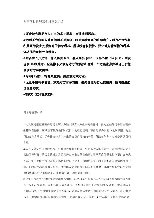 项目管理经验