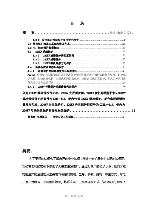 耒阳电厂实习报告