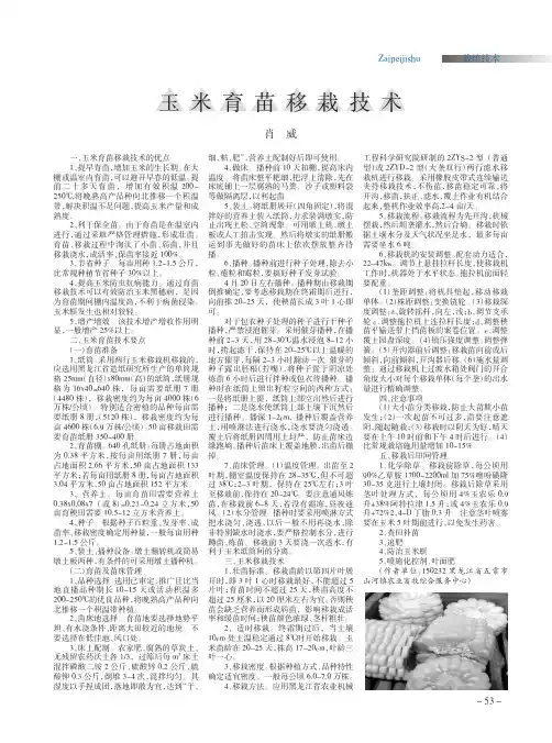 玉米育苗移栽技术