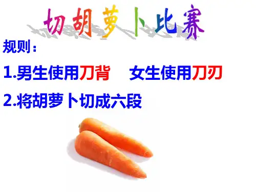 初中物理10.1压强优质课