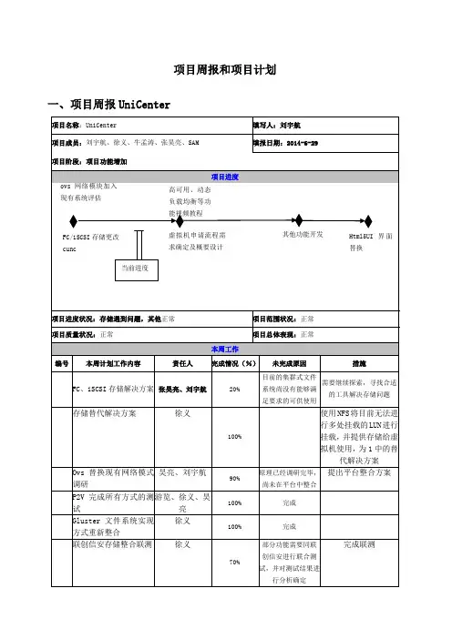 项目周报模板