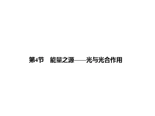 高考生物一轮复习课件必修一 第五章 细胞的能量供应和利用4