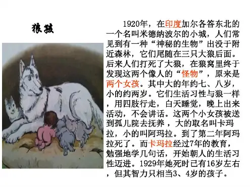 人教版道德与法治八年级上11我与社会课件(
