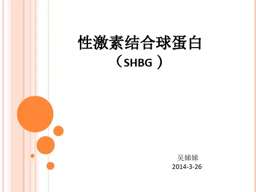 性激素结合球蛋白