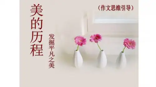 高中作文_美的历程---发掘平凡之美(作文思维引导)公开课教学课件共12张PPT