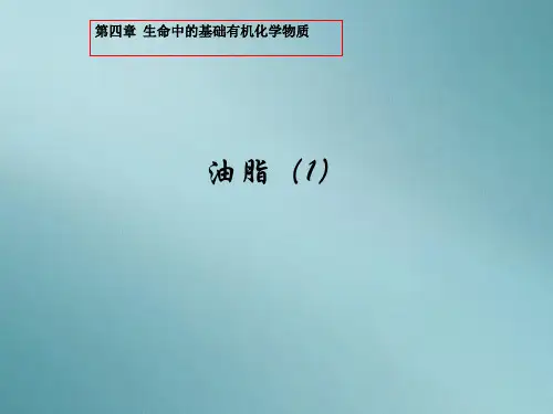 人教化学选修5第四章第一节 油脂