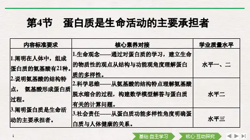 高中生物人教必修1同步课件:第2章 组成细胞的分子 第4节 蛋白质是生命活动的主要承担者