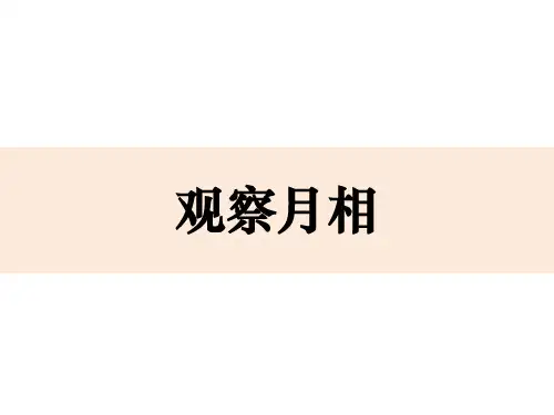二年级上册科学课件14《观察月相》教科版(共19张PPT)