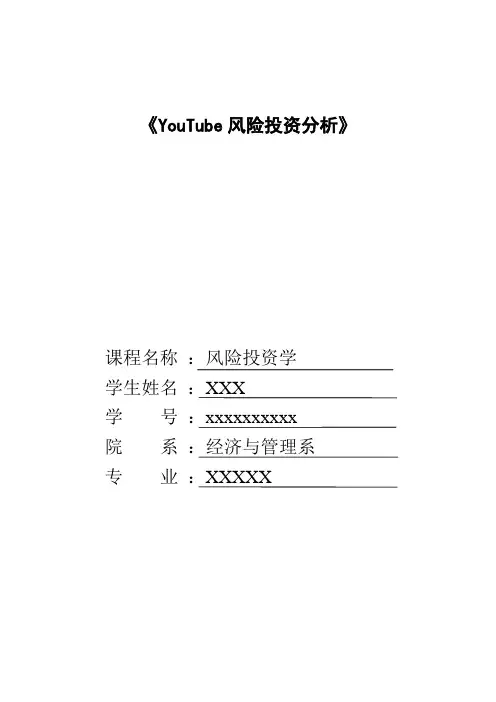 YouTube风险投资分析
