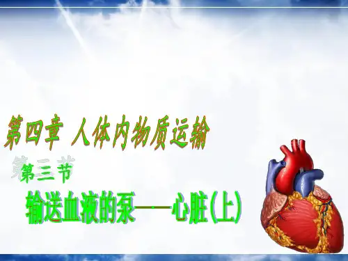 左心室——右心房