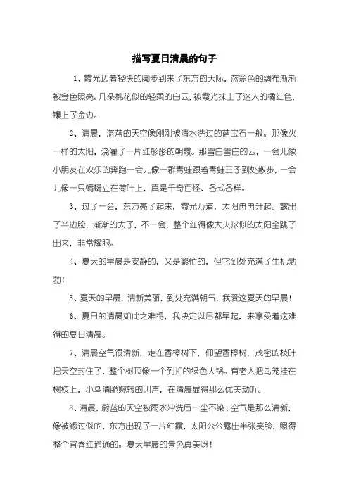 描写夏日清晨的句子