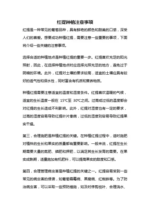 红提种植注意事项