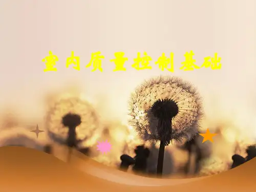 室内质量控制基础.pptx