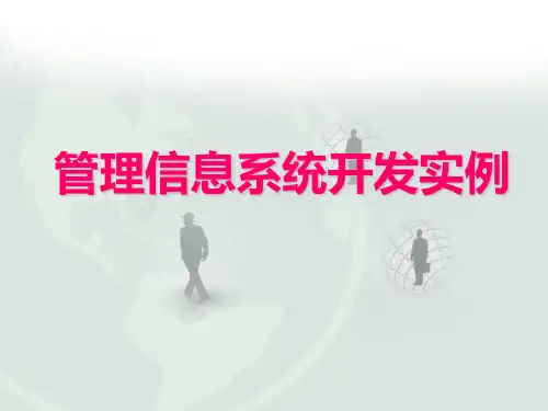 信息系统开发实例