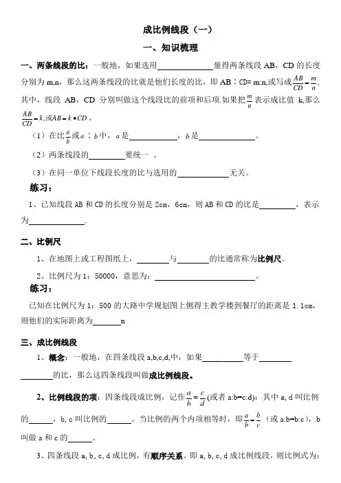 成比例线段1(1)