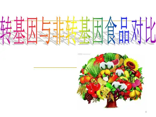 转基因与非转基因食品对比ppt课件
