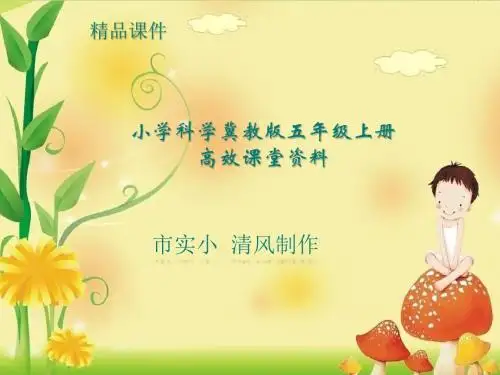 小学科学冀教版五年级上册高效课堂资料活动 黑塑料袋和白塑料袋