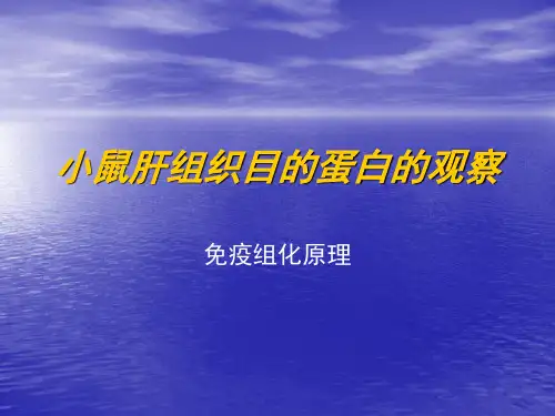 免疫组化实验原理