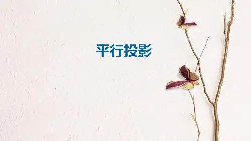 届九年级数学下册 第29章 投影与视图 29.1 投影 平行投影课件 (新版)新人教版.ppt