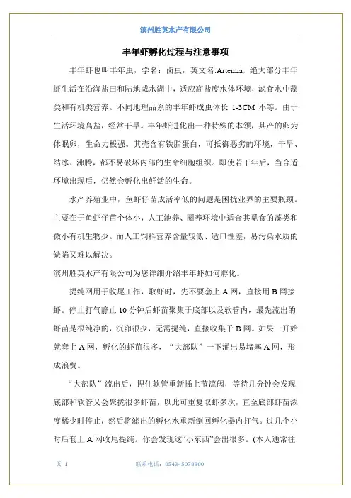 丰年虾孵化过程与注意事项