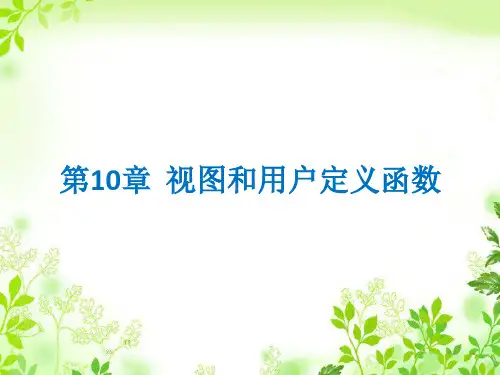 第10章  视图和用户定义函数[42页]