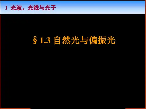 自然光与偏振光