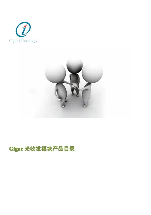 Gigac 产品手册