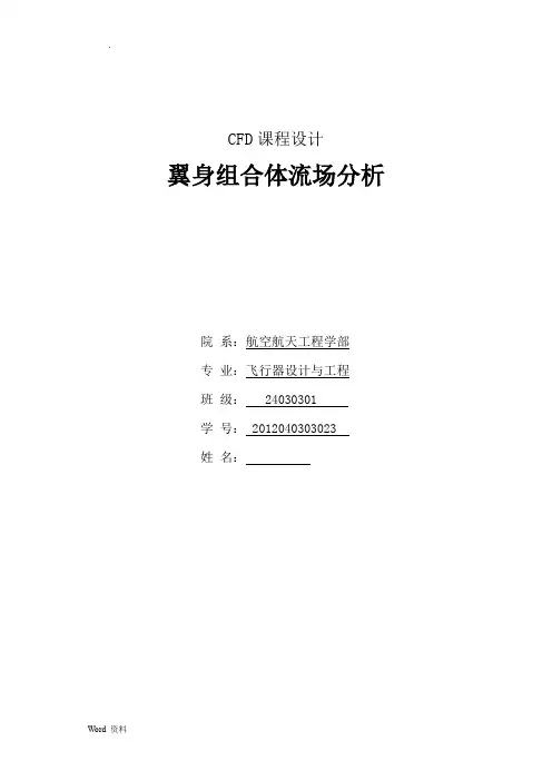 CFD课程设计报告说明书