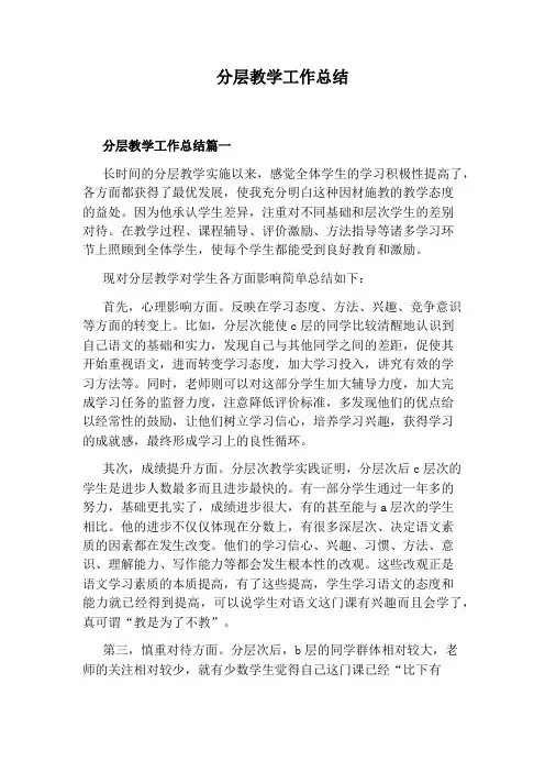 分层教学工作总结