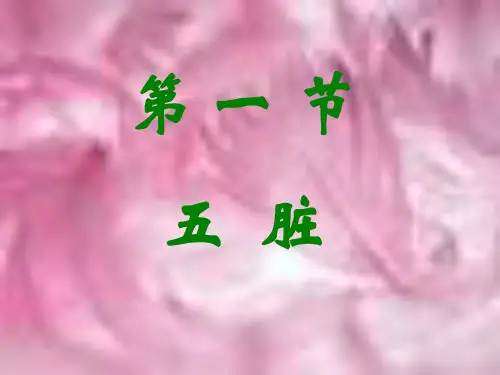 五脏