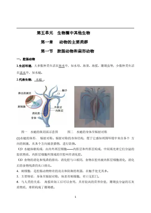 初中生物八年级上册知识点(人教版)