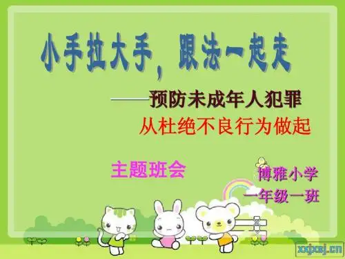 一(1)法制教育主题班会课件