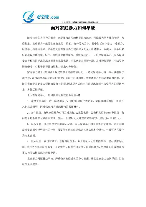 面对家庭暴力如何举证