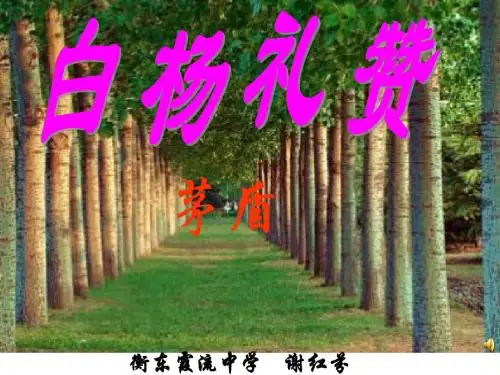 《白杨礼赞》上课课件