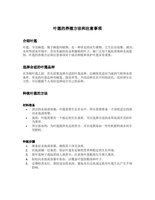 叶莲的养殖方法和注意事项