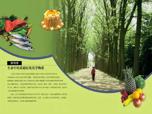 选修5第四章 生命中的基础有机化学物质全部课件gsl