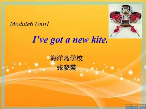 新标准英语一起第五册Module6 Unit1