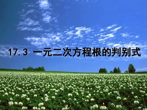 沪科版八年级下册数学：17.3 一元二次方程的根的判别式 (共12张PPT)