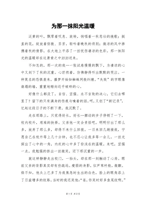 为那一抹阳光温暖_高二作文