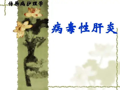 病毒性肝炎的查房教学课件ppt