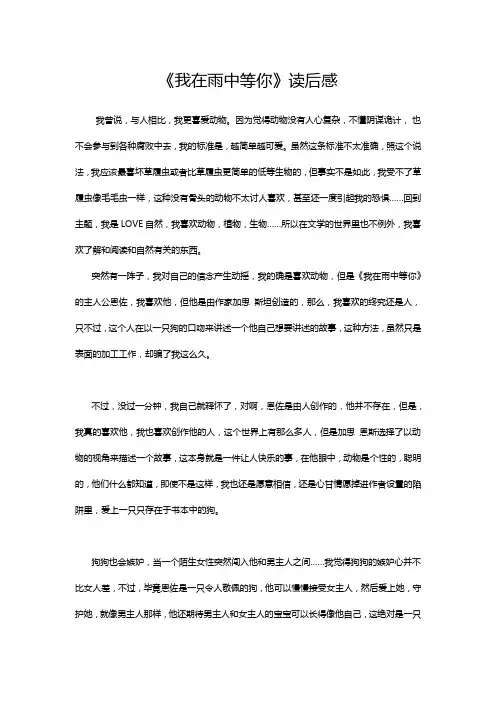《我在雨中等你》读后感
