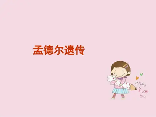 孟德尔遗传PPT教学课件