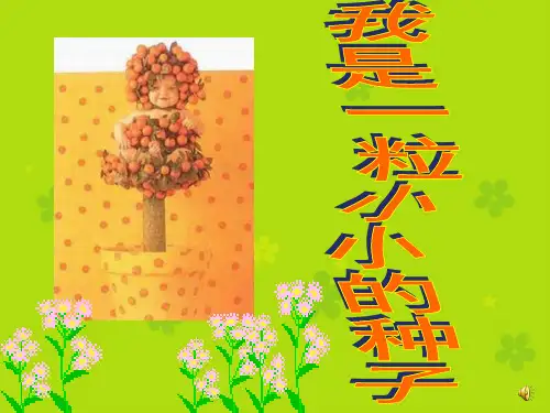我是一粒小小的种子