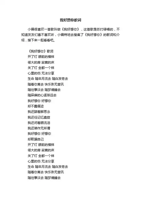 我好想你歌词