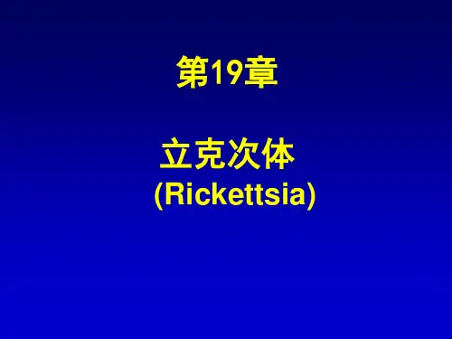 第19章 立克次体