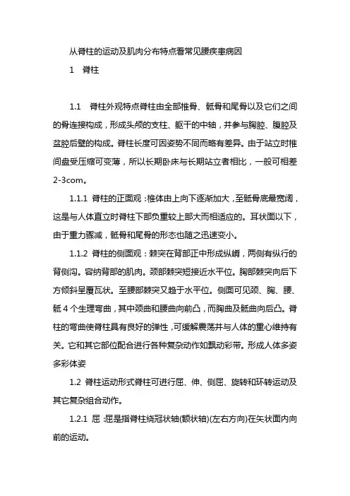 从脊柱的运动及肌肉分布特点看常见腰疾患病因