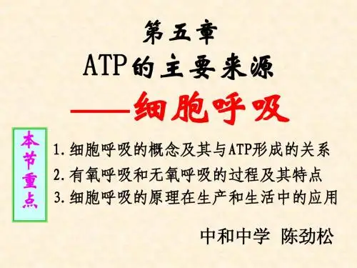 ATP的主要来源——细胞呼吸